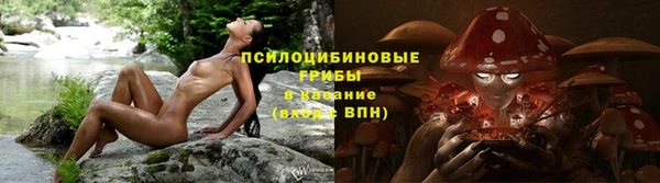 PSILOCYBIN Нягань