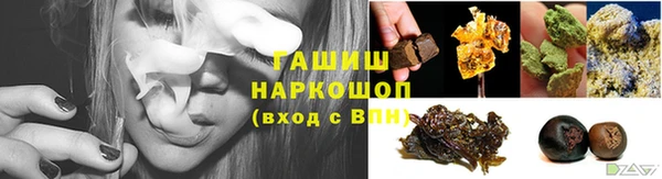хмурый Новозыбков