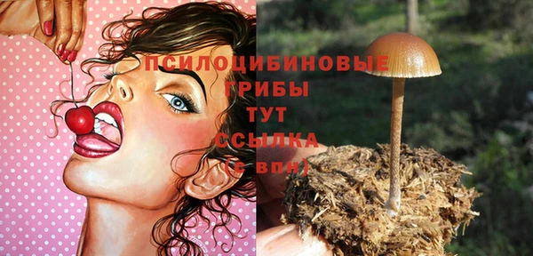 не бодяженный Новокубанск