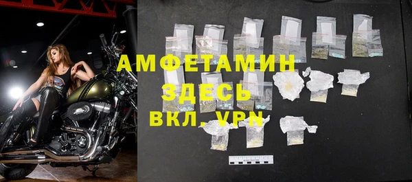 хмурый Новозыбков